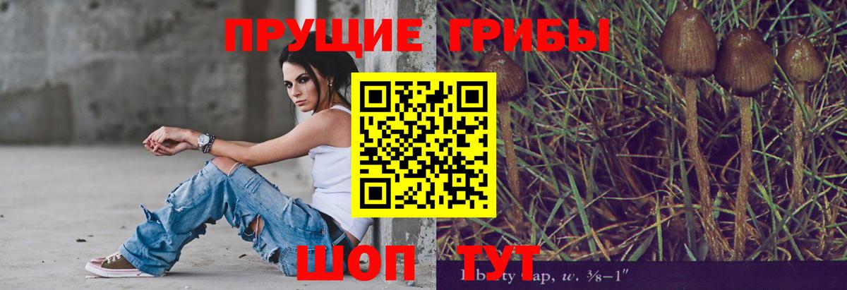 Псилоцибиновые грибы прущие грибы Брянск