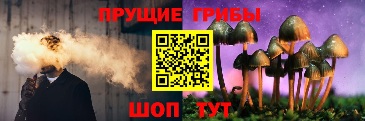 Брянск  Псилоцибиновые грибы Cubensis  Вход с VPN 